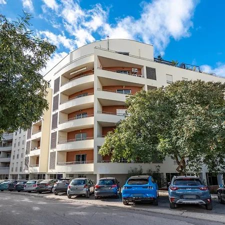 Cool Motion Rocha T2 Портиман