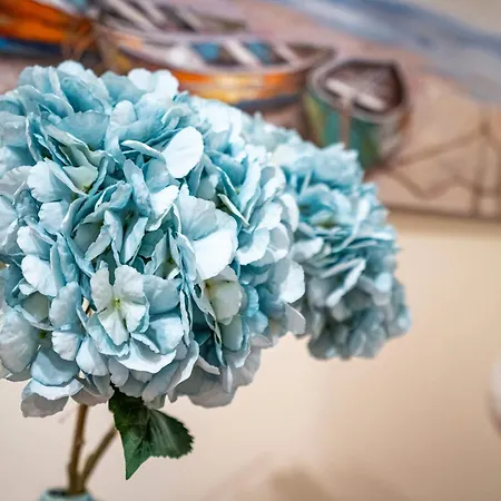 Cool Motion Rocha T2 Portimão