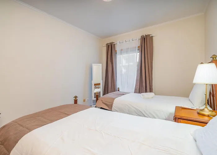 Cool Motion Rocha T2