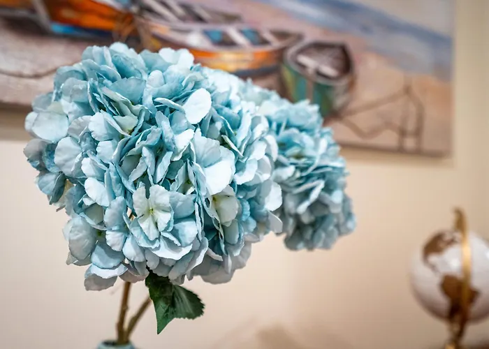 Cool Motion Rocha T2 Portimão